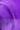 Tory Silver / Purple